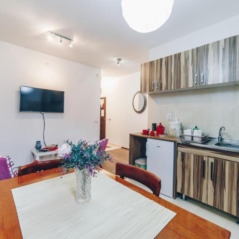 Sreckovic Apartmani 2 - Apartman sa 1 Spavaćom Sobom - 12
