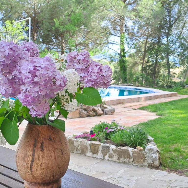Casa Rural La Pedra - Casa Unifamiliar de 3 dormitorios - 37