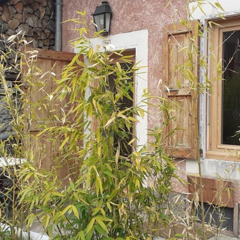 Maison Rustique au calme Parc des Écrins - Maison 2 Chambres - 18