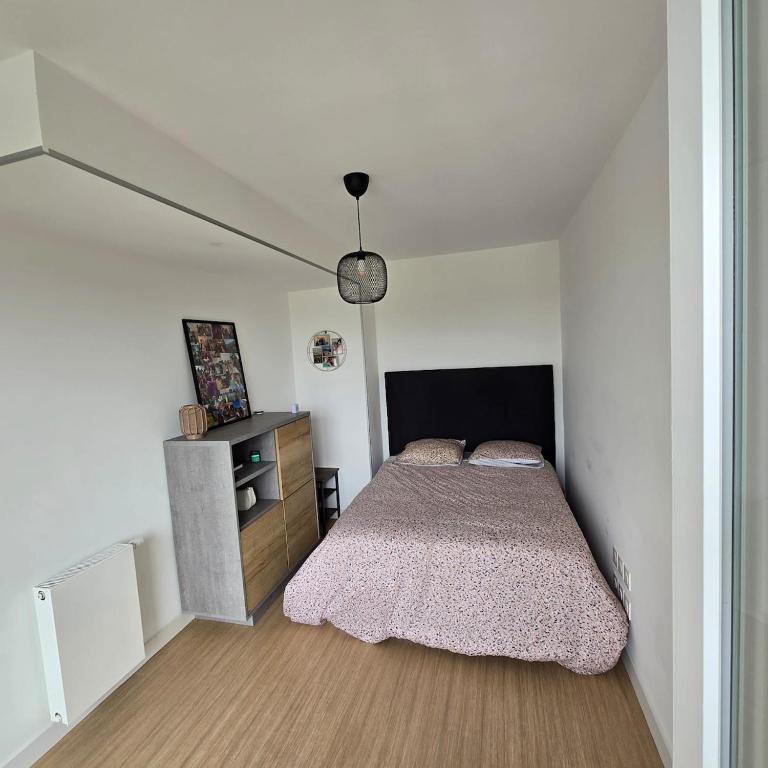 appartement Annecy-le-Vieux vue lac - Apartamento de 1 dormitorio - 10