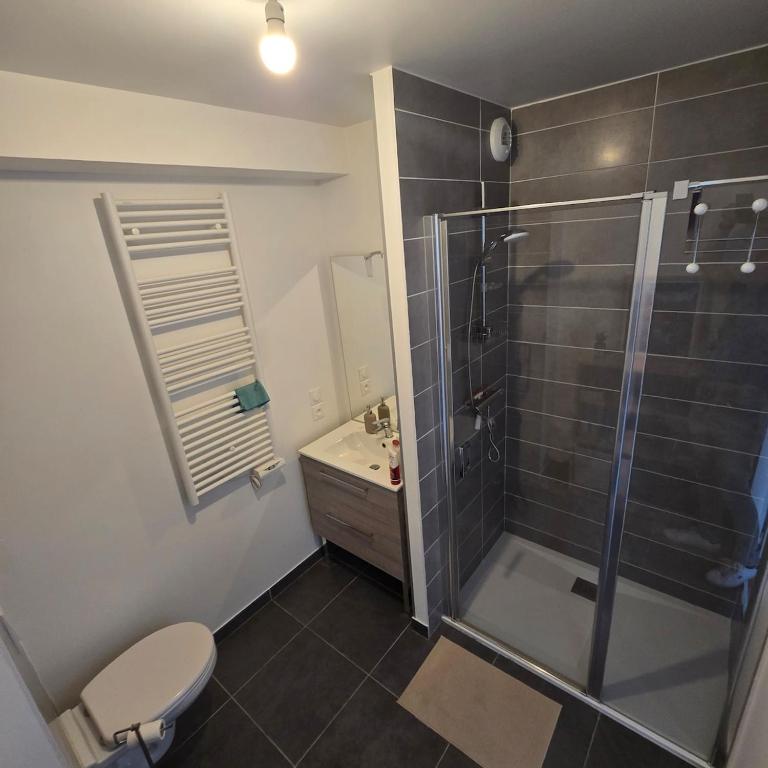 appartement Annecy-le-Vieux vue lac - Apartamento de 1 dormitorio - 12