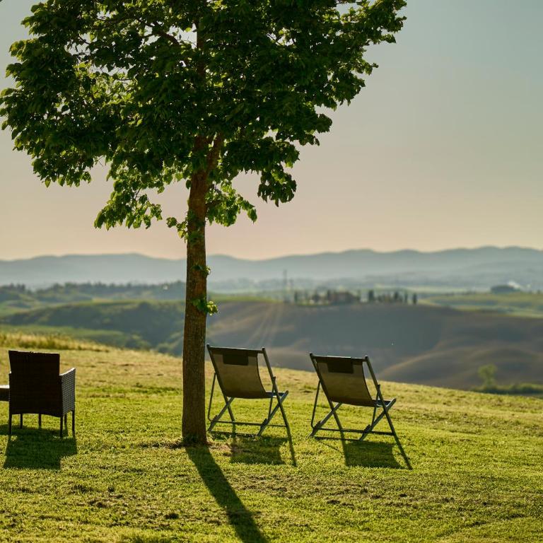 Podere il Granaio - Crete Senesi - Tuscany - Casa Vacanze - 12