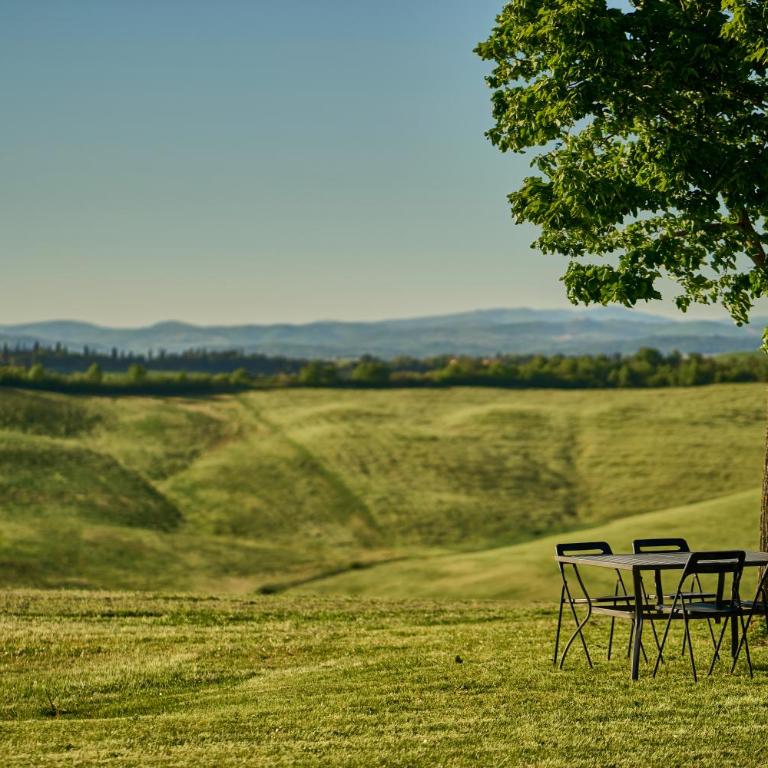 Podere il Granaio - Crete Senesi - Tuscany - Casa Vacanze - 13