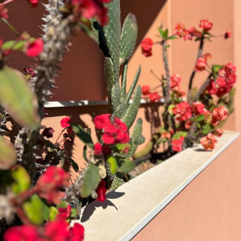 Avola Sun Of Sicily - Appartamento con 1 Camera da Letto - 15