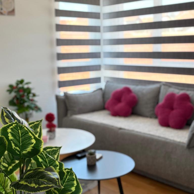 Jefimija Apartman Sokobanja - One-Bedroom Apartment - 1