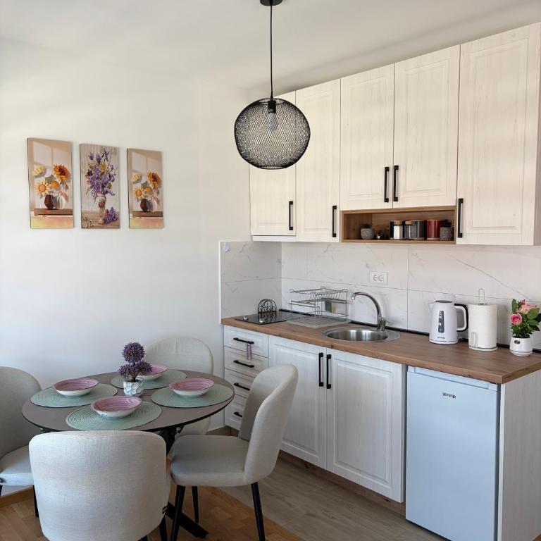 Jefimija Apartman Sokobanja - One-Bedroom Apartment - 24