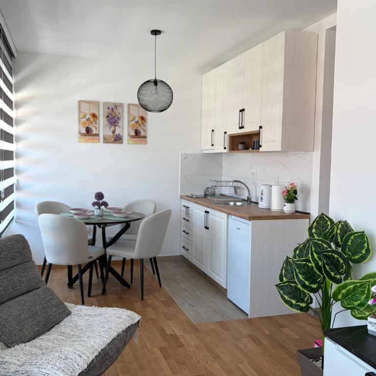 Jefimija Apartman Sokobanja - One-Bedroom Apartment - 12