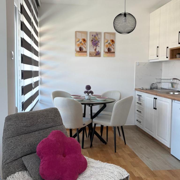 Jefimija Apartman Sokobanja - One-Bedroom Apartment - 25
