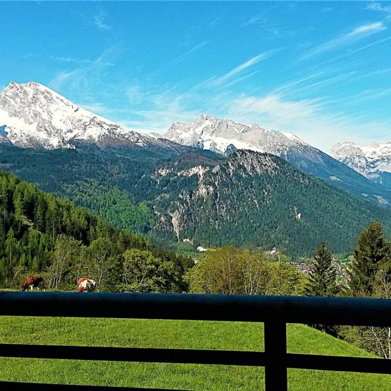 1 Bergpanorama und atemberaubende alpine Almlandschaft für absolute Nichtraucher - Apartment - Erdgeschoss - 18