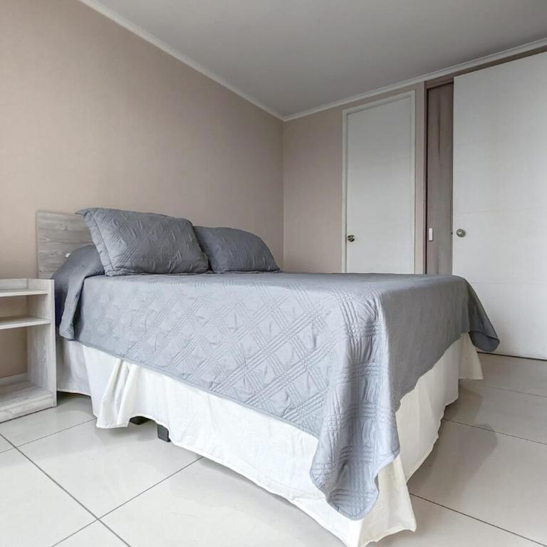 Tranquilidad en el corazón de Santiago - One-Bedroom Apartment - 3