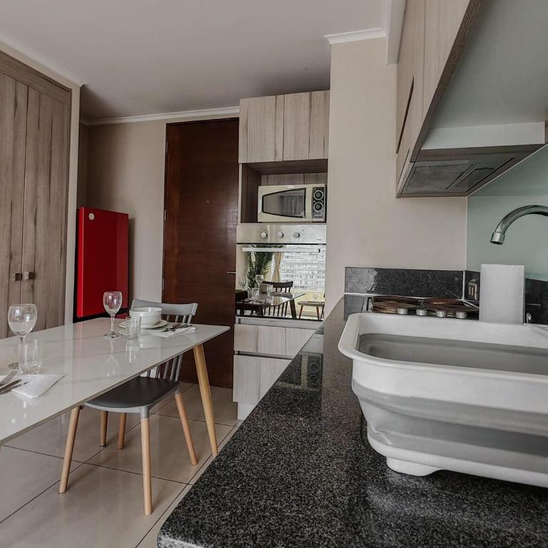 Tranquilidad en el corazón de Santiago - One-Bedroom Apartment - 14