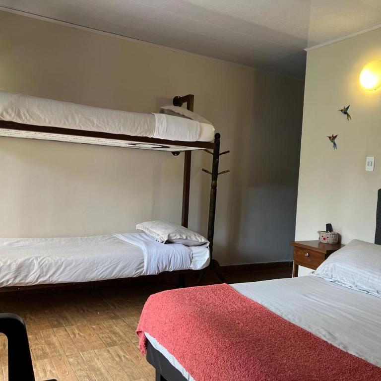 Tierra Viva VDL - Quadruple Room with Private Bathroom - 5