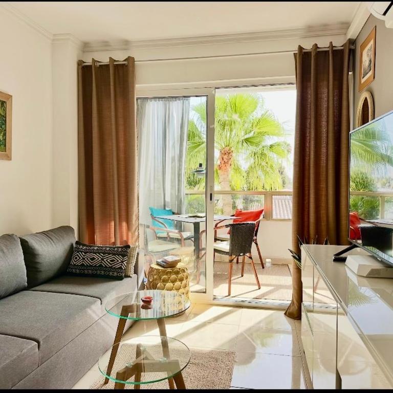 Sunny Central near Yumbo and Dunes - One-Bedroom Apartment - 2