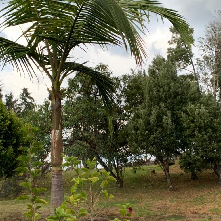 Villa Nelly Country House - Three-Bedroom Vacation Home - 3