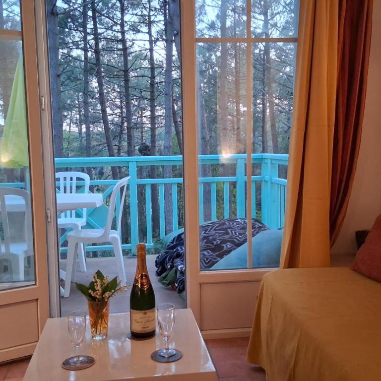 T2 32m2 terrasse 8m2 PISCINE LACANAU OCEAN LAC GOLF MULTISPORT - Appartement 1 Chambre - 10