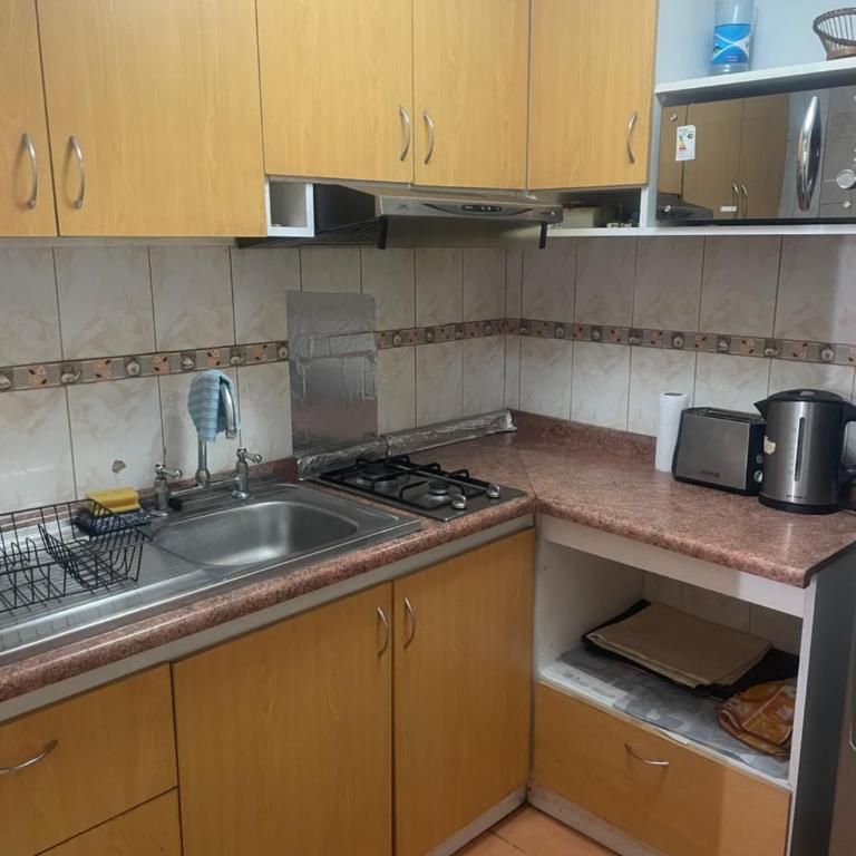 Departamento Amoblado Providencia - Apartamento de 2 dormitorios - 3