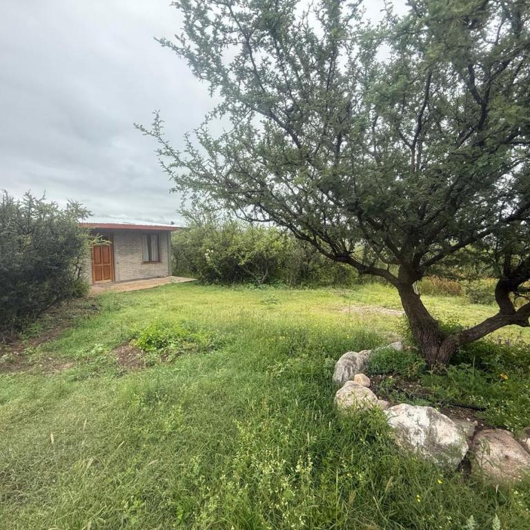 Estación Tachyon Timalu - Monoambiente Ni aMe - Apartamento de 1 dormitorio - 1