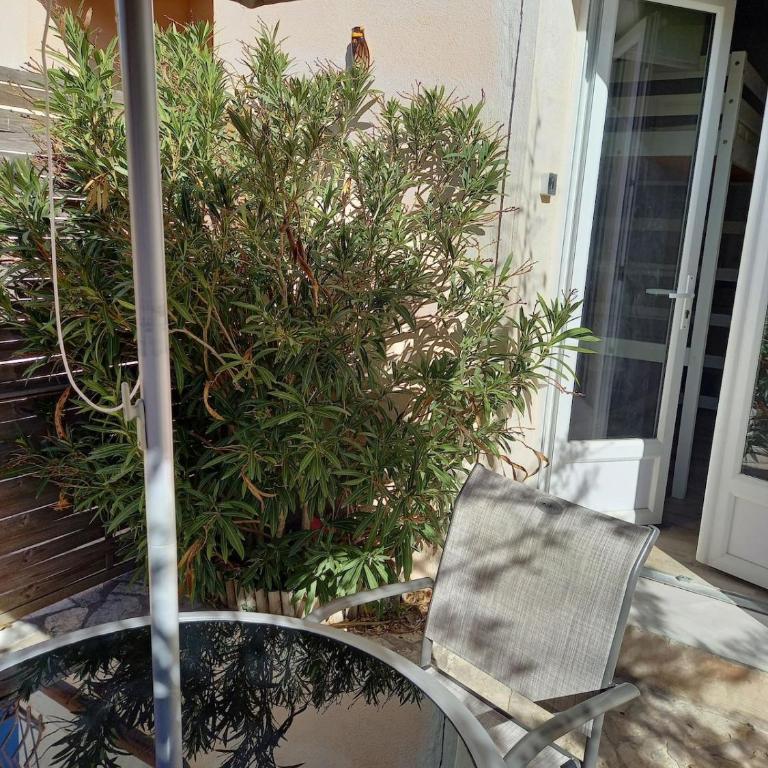 Studette Le Colibri YourHostHelper - Studio - 6