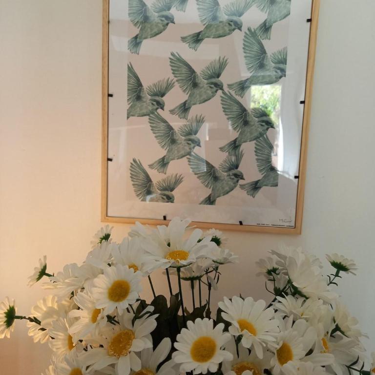 Studette Le Colibri YourHostHelper - Studio - 8