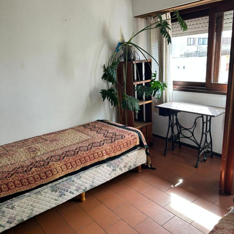 Depto Pinamar - Apartamento - 4