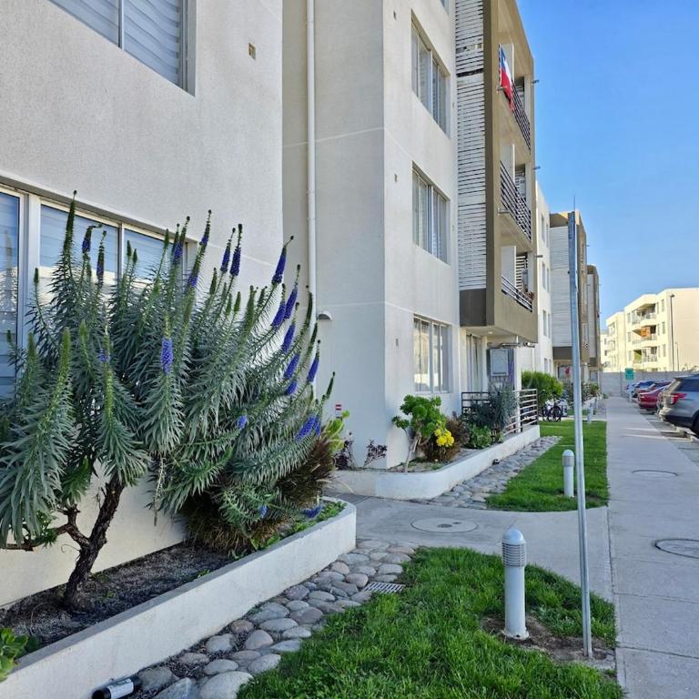 Acogedor Depto Para 5 Personas - Three-Bedroom Apartment - 8