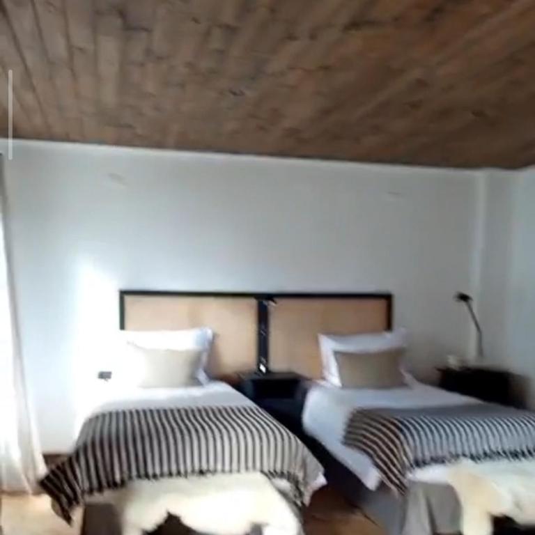 Hostería Pionero - One-Bedroom Apartment with Terrace - 1