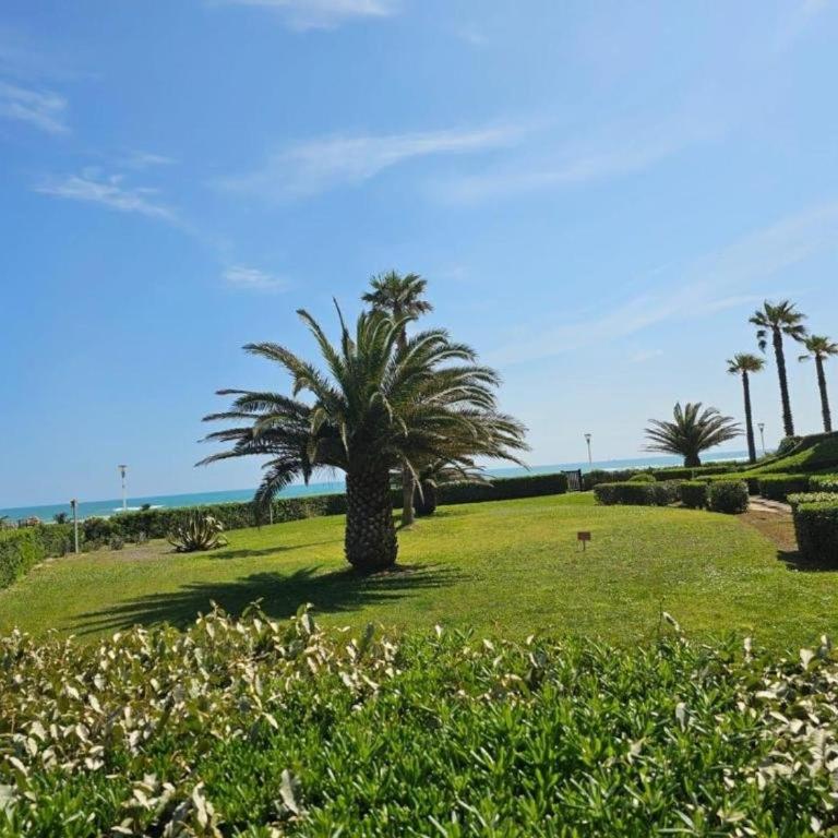 Appartement T3, clim, vue mer - 6 pers. - FR-1-696-146 - Apartamento - 13