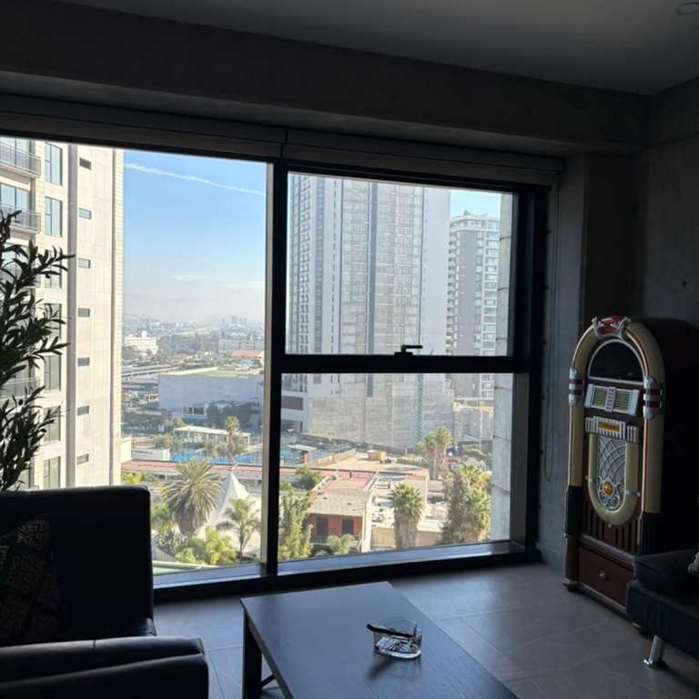 Apartment in The Park Toreo - One-Bedroom Apartment - 1