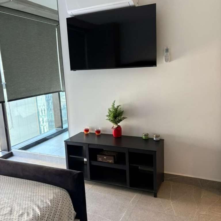 Apartment in The Park Toreo - One-Bedroom Apartment - 12