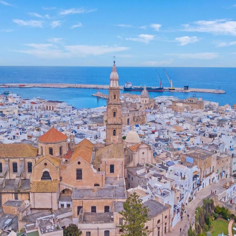 Viadelmare Apartment Monopoli 200m Sea - Happy Rentals - Appartamento con Terrazza - 25