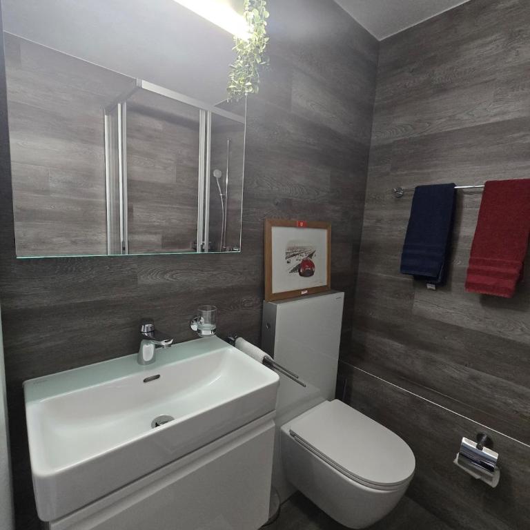 Cocon Neuf & Vue Panoramique - Portes du Soleil - Apartment mit 2 Schlafzimmern - 13