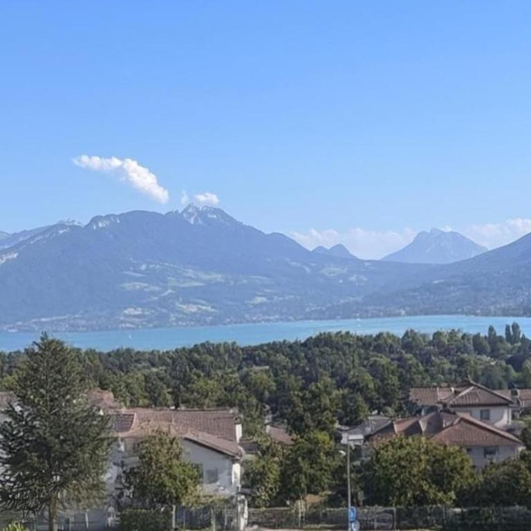 appartement Annecy-le-Vieux vue lac - Apartamento de 1 dormitorio - 2