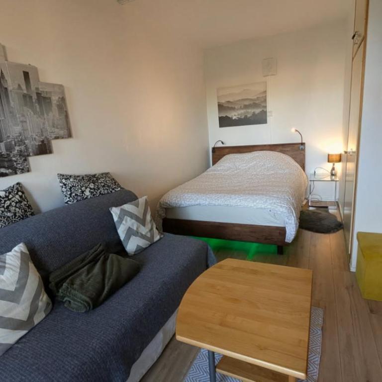 Studio RDC calme avec parking fermé près autoroute et tram C - One-Bedroom Apartment - 3