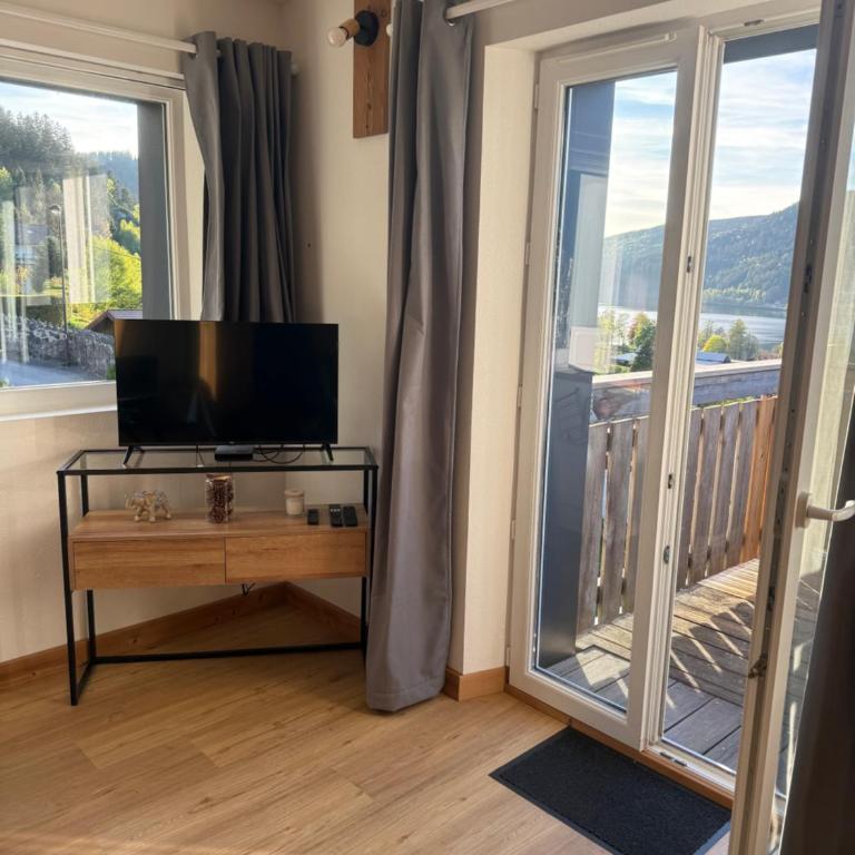 Appartement vu exceptionnel sur le lac 2 - Appartement 1 Chambre - 34