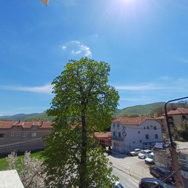 RIO Residence - Porodični Studio - 4