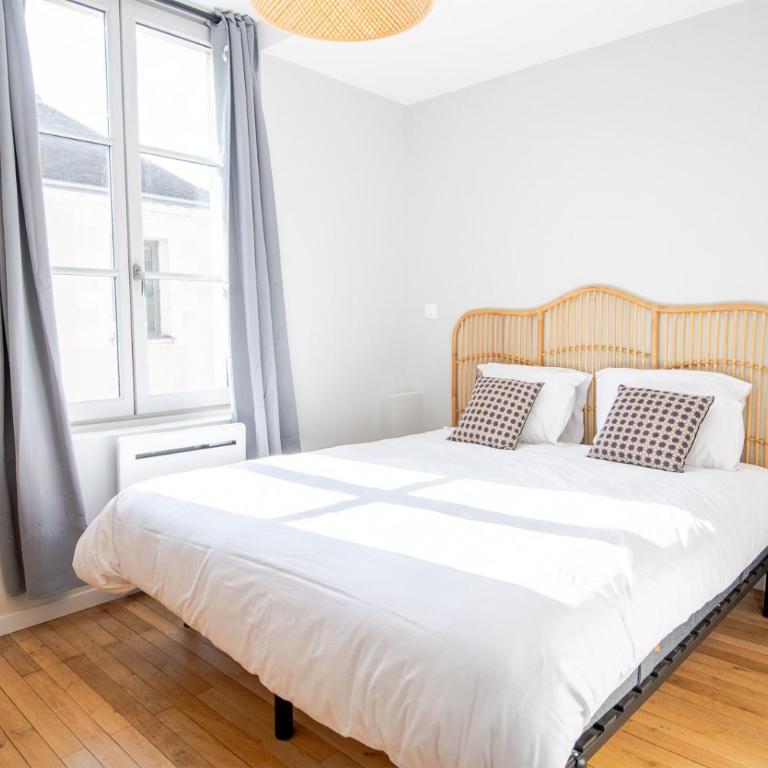 Le Jaune - Appartement lumineux centre Amboise - Appartamento - 8