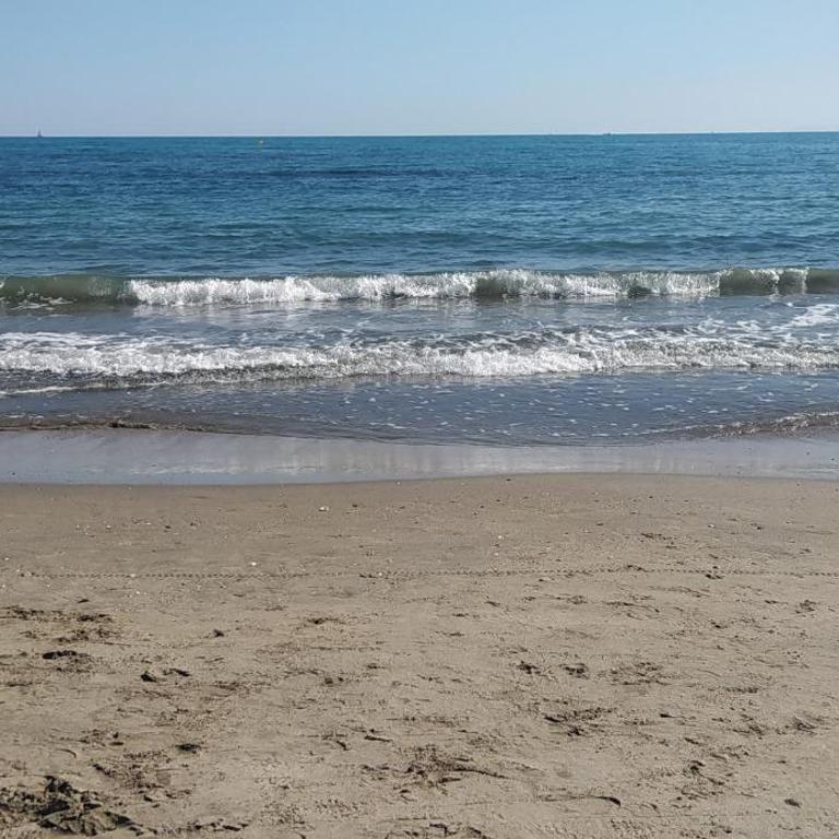appartement à deux pas de la mer - Appartamento con 1 Camera da Letto - 2