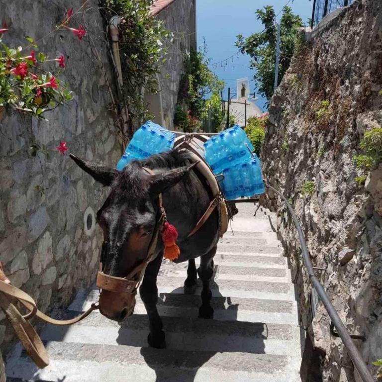 GOAT PATH Relaxing Escape Between Sky And Sea in Amalfi Coast - One-Bedroom Apartment - 9