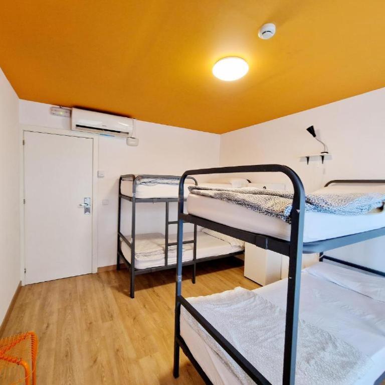Arc House Barcelona - 4-Bed Mixed Dormitory Room - 2