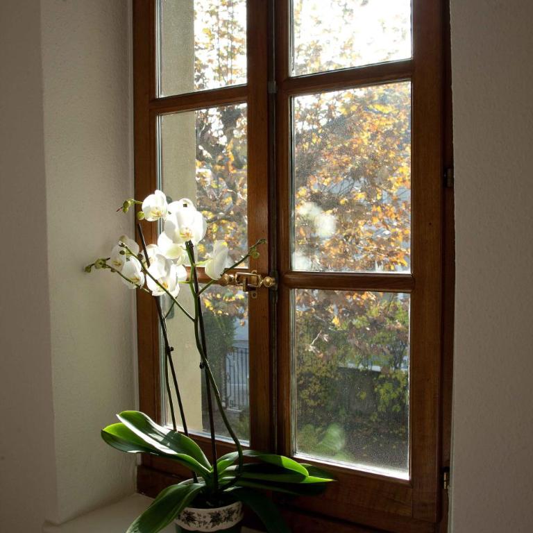 Charming Geneva - Appartement en Duplex - 21