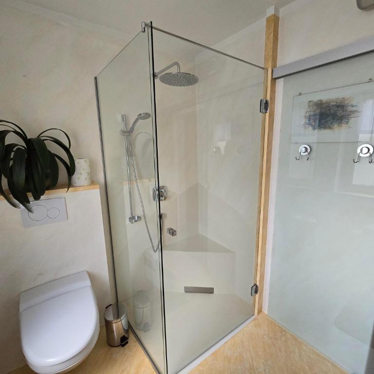Ferienwohnungen Knaus - Apartment mit Dusche - 7