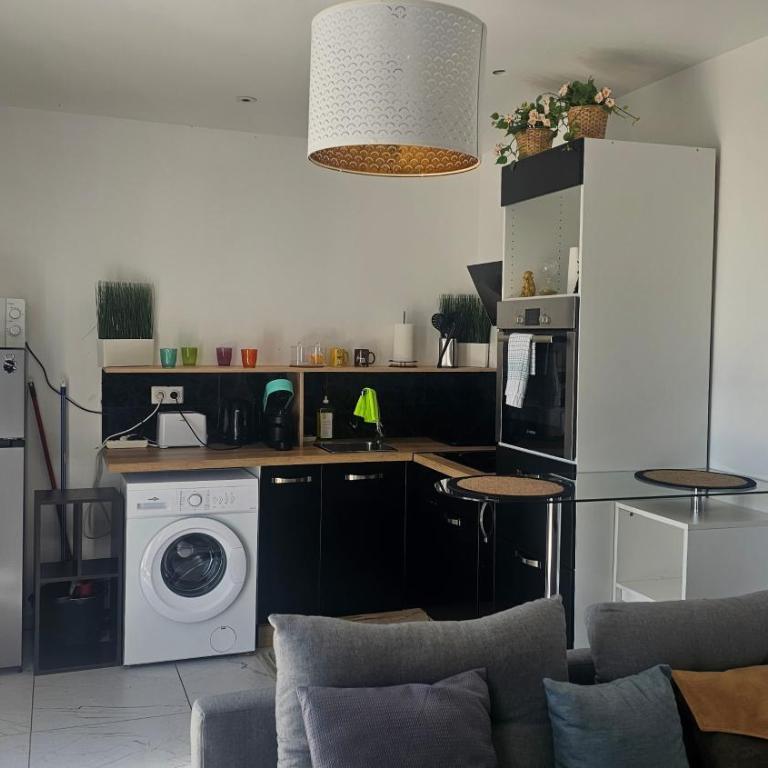 Zen et cosy - Appartement 1 Chambre - 12