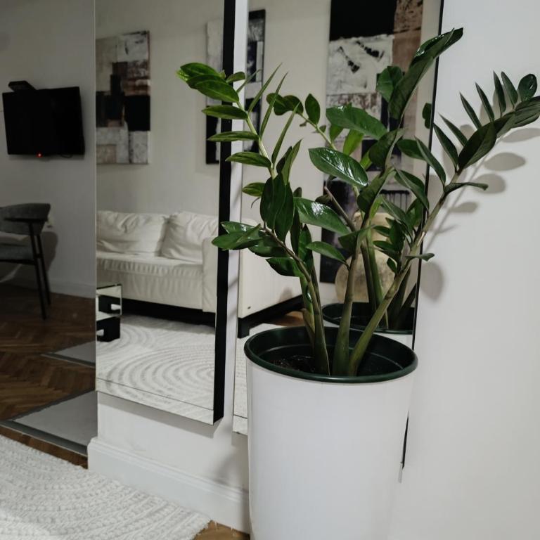 White Lounge Haustor - Apartman sa 2 Spavaće Sobe - 5