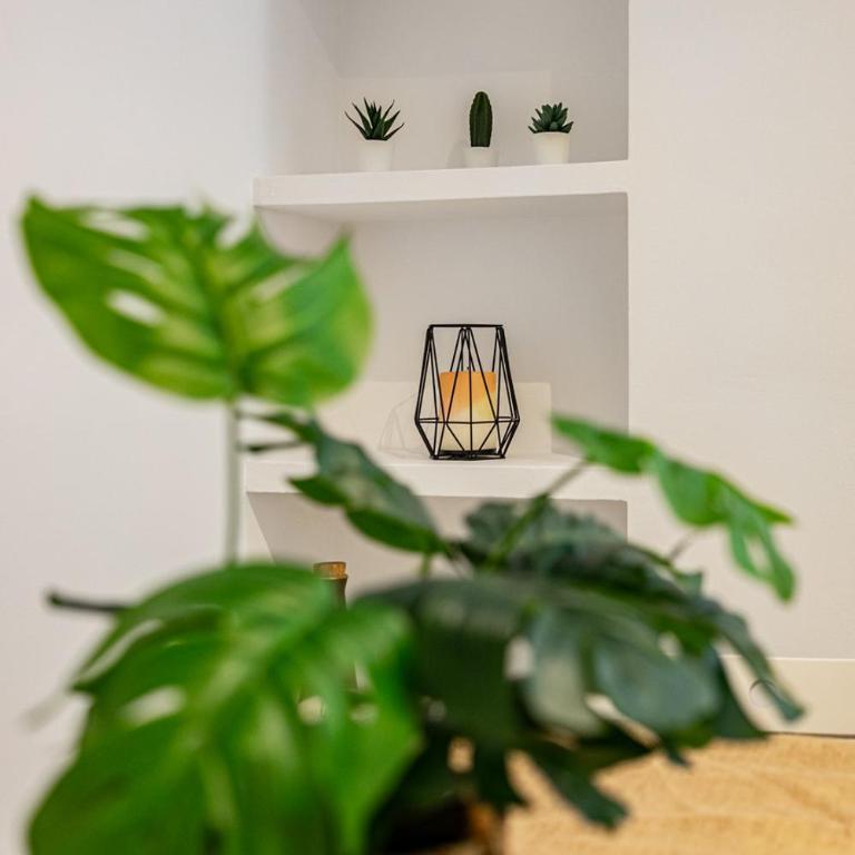 Avenida Castilla - Apartamento de 2 dormitorios - 15