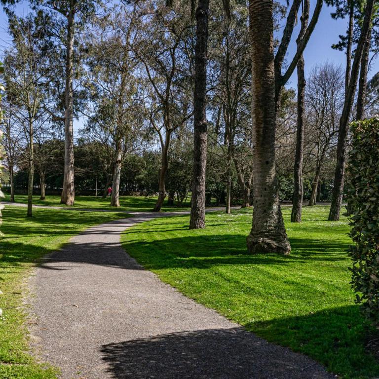 Avenida Castilla - Apartamento de 2 dormitorios - 22