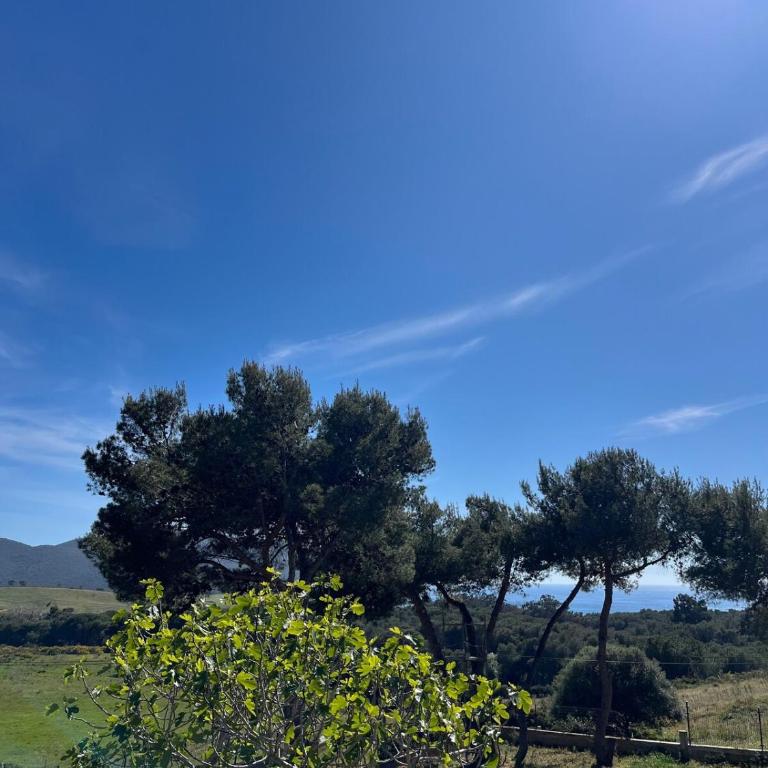 F2 à Capo di Feno, Nature, plage et jacuzzi - One-Bedroom Apartment - 24
