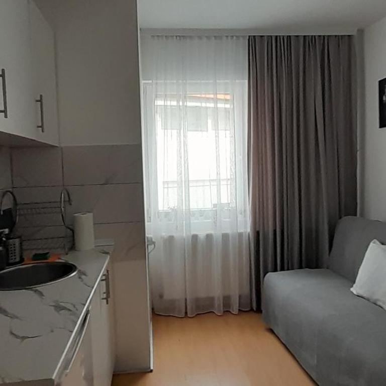 Villa Milovanovic - Apartman s 1 Spavaćom Sobom i Balkonom - 3