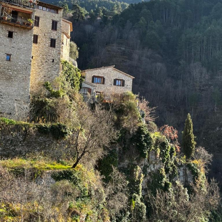 Vaste maison de famille entre forêt et rivière - Maison 3 Chambres - 5