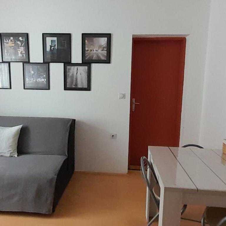 Villa Milovanovic - Apartman s 1 Spavaćom Sobom i Balkonom - 6