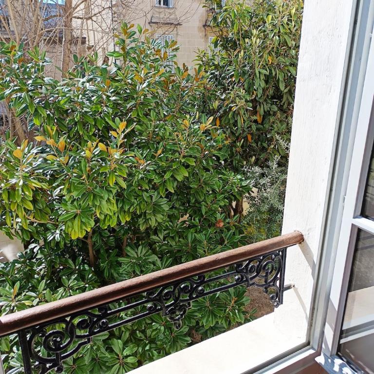 Chez Victor Hugo , appartement élégant au coeur d'Avignon - Apartment with Garden View - 11
